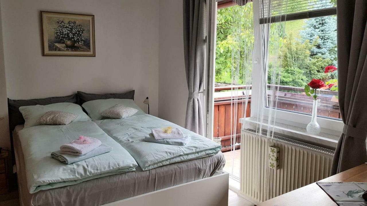 Apartma Svetina Apartment *